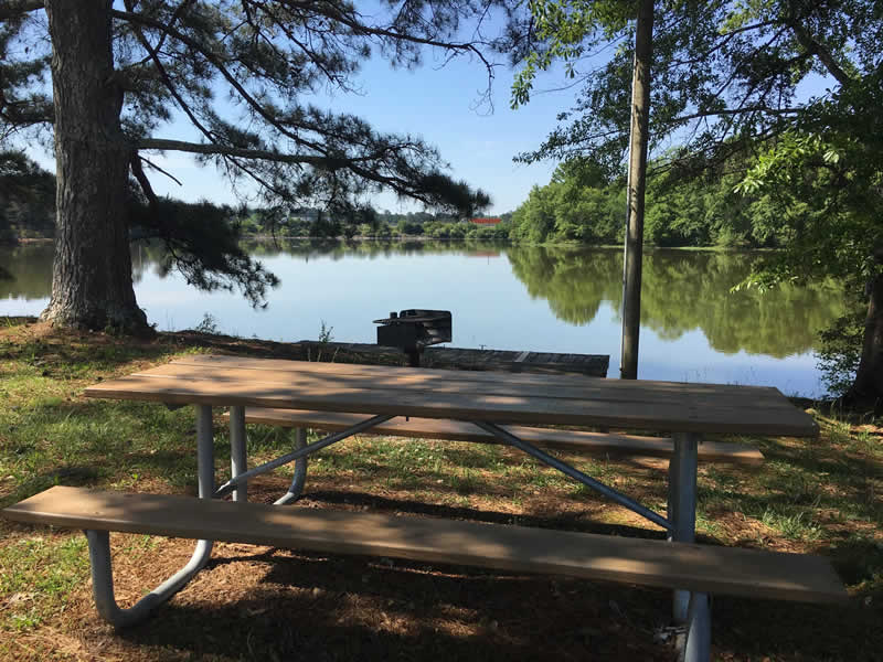 Lakeside Area